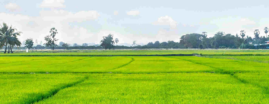 Modern Farming System in Thoothukudi