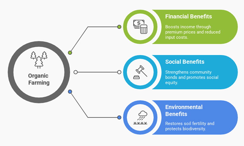 Leading Organic Manure Fertilizer Manufacturer in Madurai