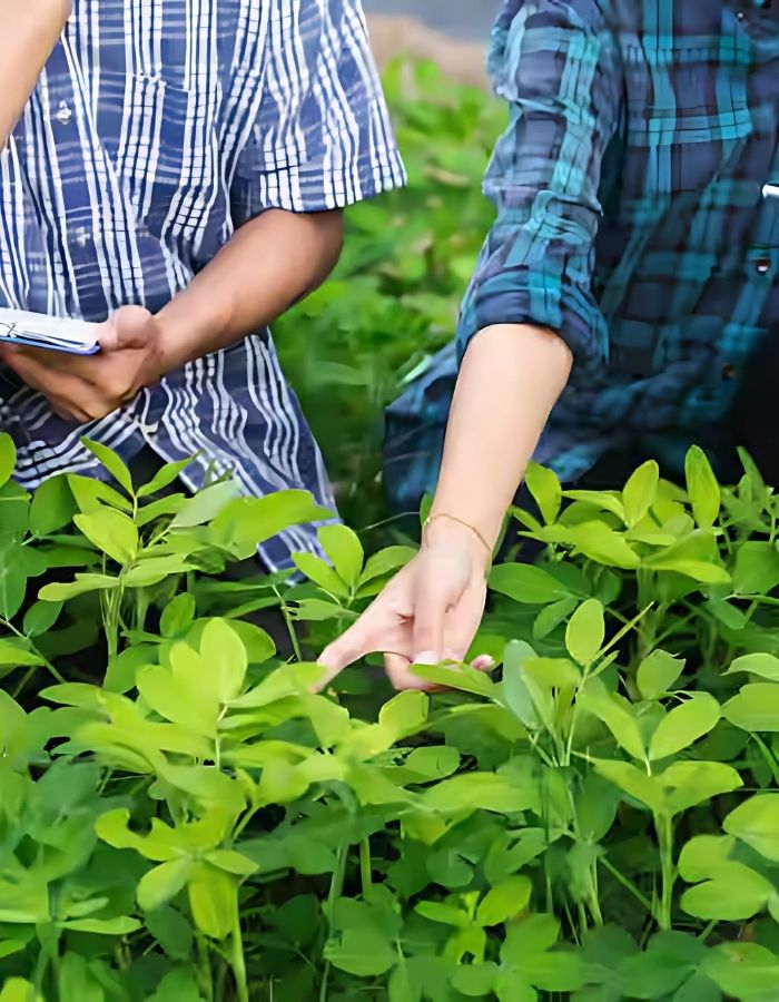 Agriculture Solutions Provider in Madurai