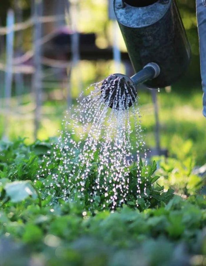 Agriculture Farm Management Company in Madurai