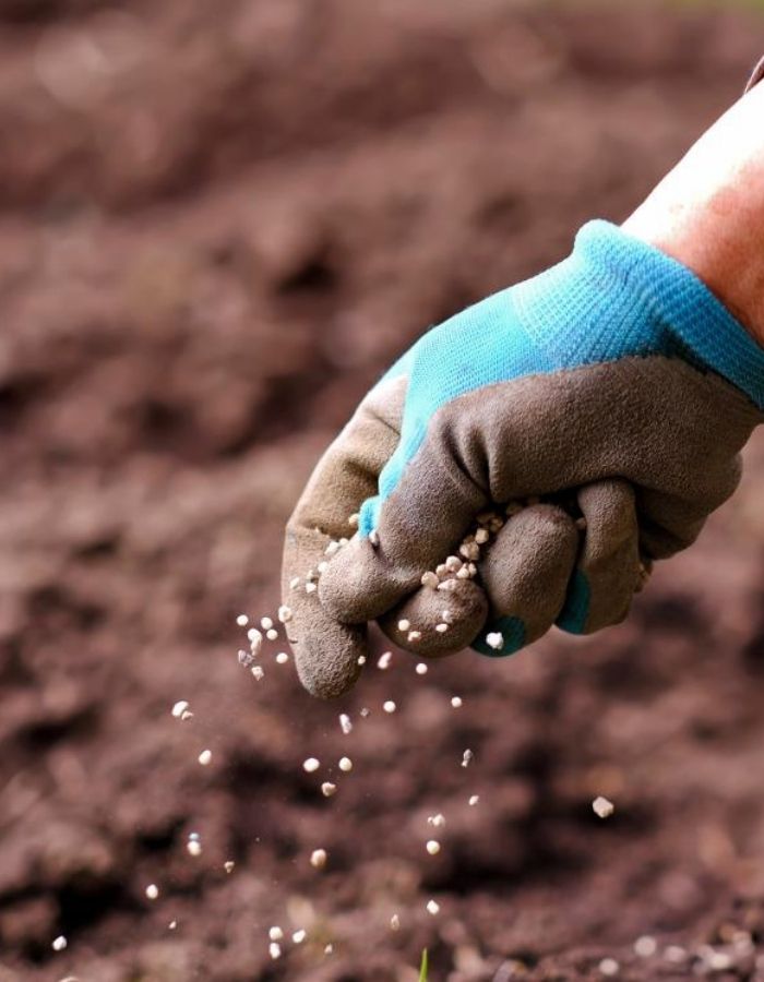 Best Bio Fertilizer Company in Madurai